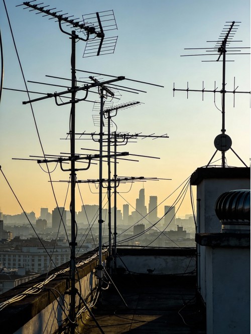 Antenna Forest Above the Rooftops